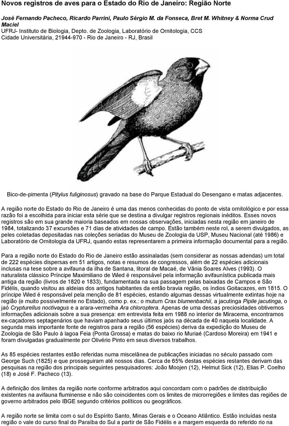 de Zoologia, Laboratório de Ornitologia, CCS Cidade Universitária, 21944-970 - Rio de Janeiro - RJ, Brasil Bico-de-pimenta (Pitylus fuliginosus) gravado na base do Parque Estadual do Desengano e