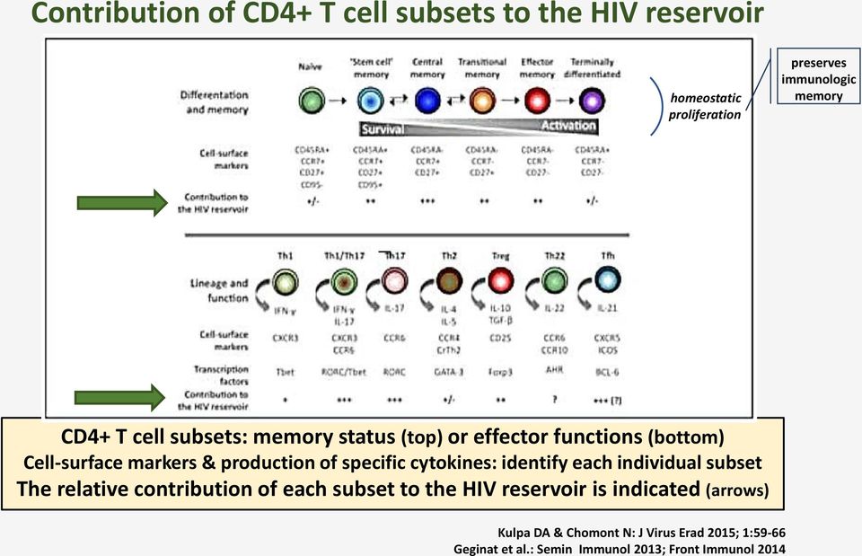 specific cytokines: identify each individual subset The relative contribution of each subset to the HIV reservoir