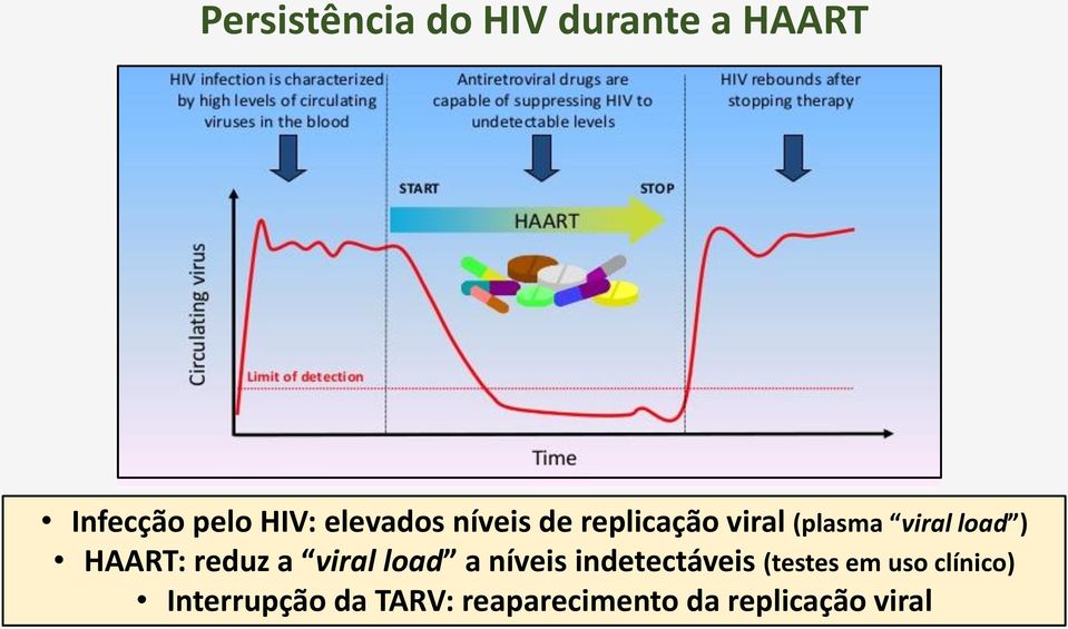 HAART: reduz a viral load a níveis indetectáveis (testes em