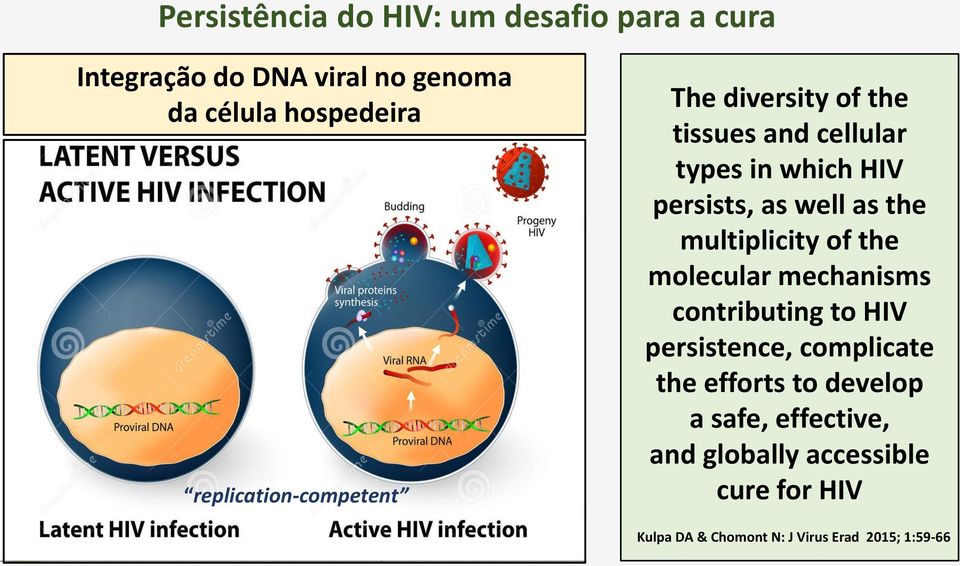 the multiplicity of the molecular mechanisms contributing to HIV persistence, complicate the efforts to