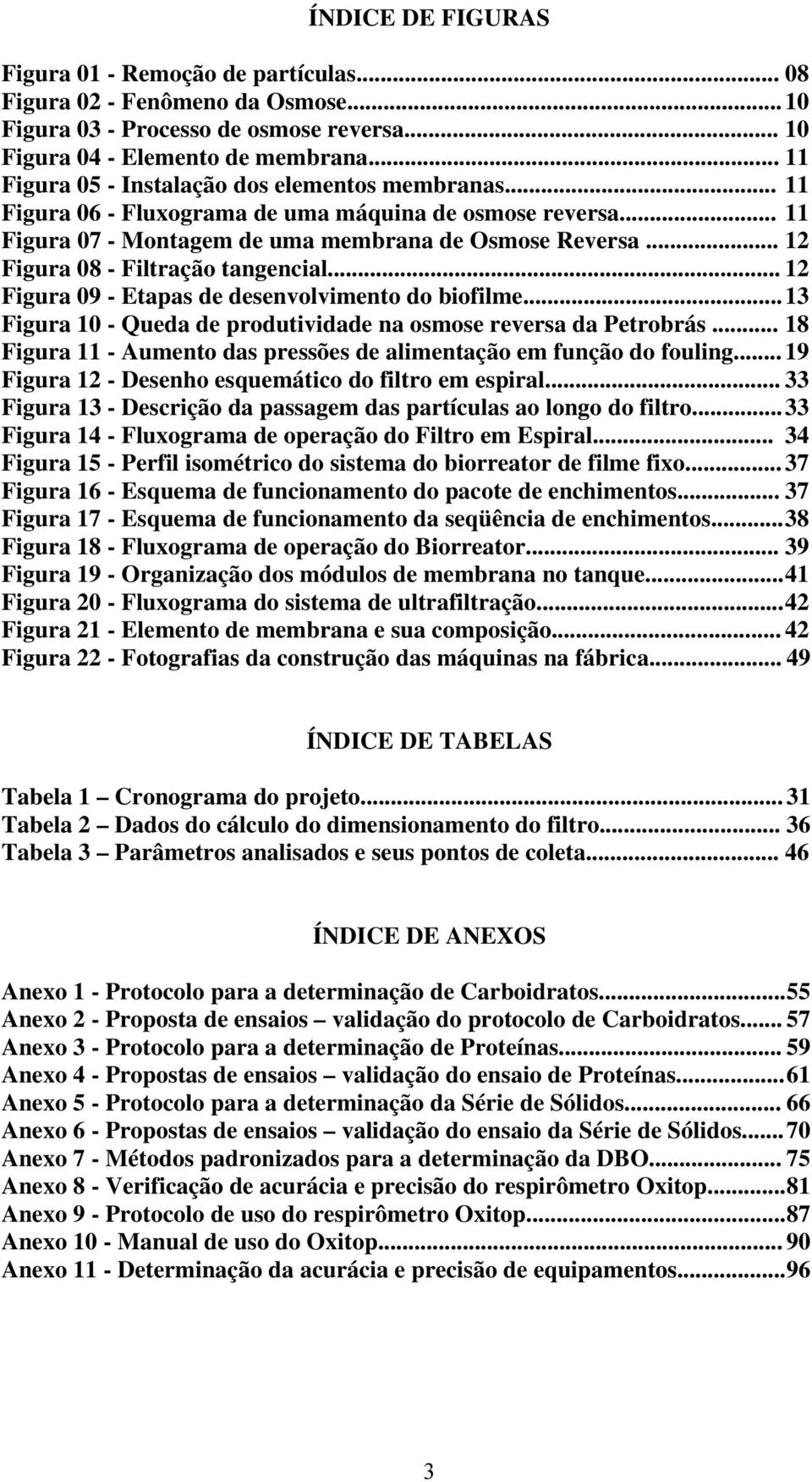 .. 12 Figura 08 - Filtração tangencial... 12 Figura 09 - Etapas de desenvolvimento do biofilme... 13 Figura 10 - Queda de produtividade na osmose reversa da Petrobrás.