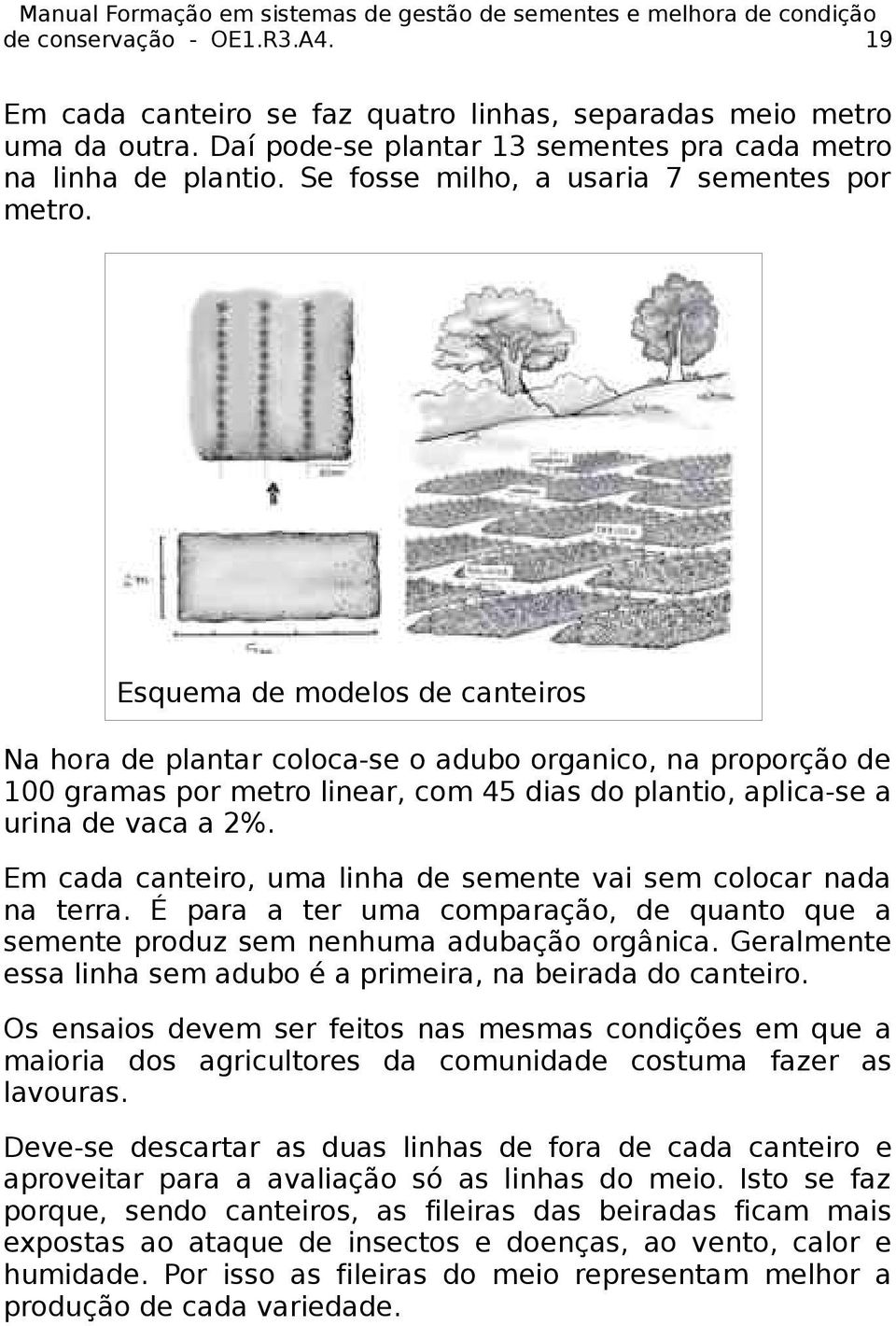 Esquema de modelos de canteiros Na hora de plantar coloca-se o adubo organico, na proporção de 100 gramas por metro linear, com 45 dias do plantio, aplica-se a urina de vaca a 2%.