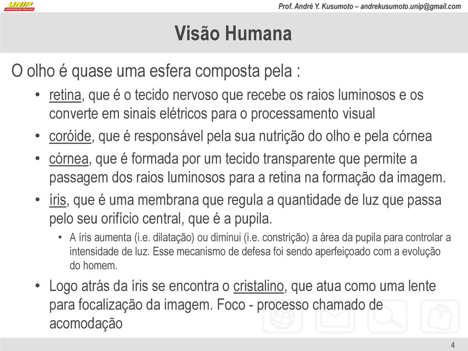 responsável pela sua nutrição do olho e pela córnea córnea, que é formada por um tecido transparente que permite a passagem dos raios luminosos para a retina na formação da imagem.