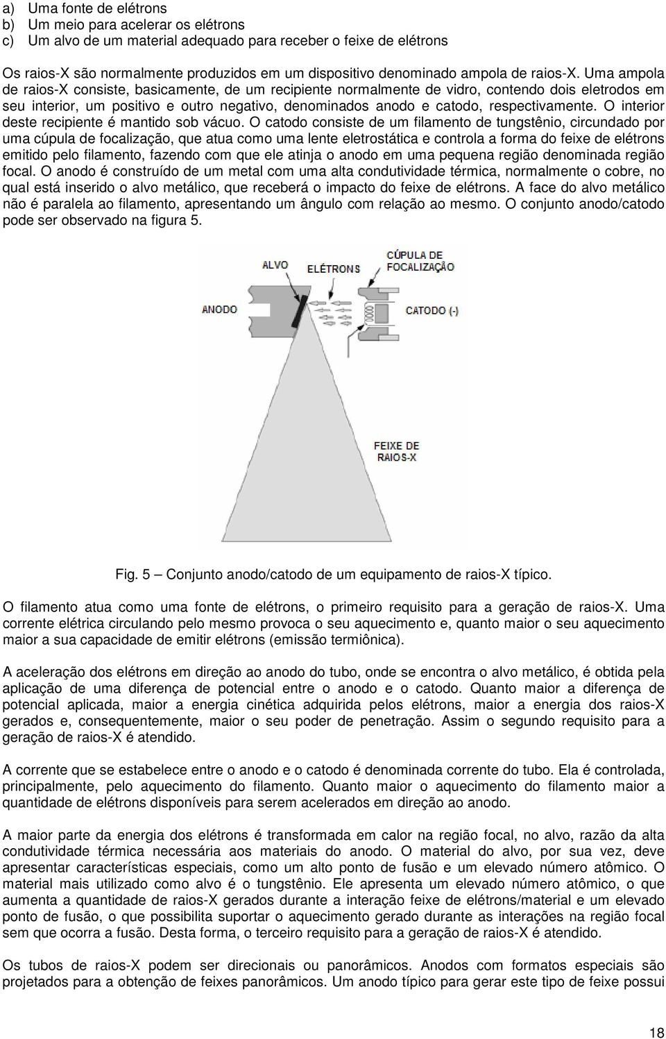 Uma ampola de raios-x consiste, basicamente, de um recipiente normalmente de vidro, contendo dois eletrodos em seu interior, um positivo e outro negativo, denominados anodo e catodo, respectivamente.