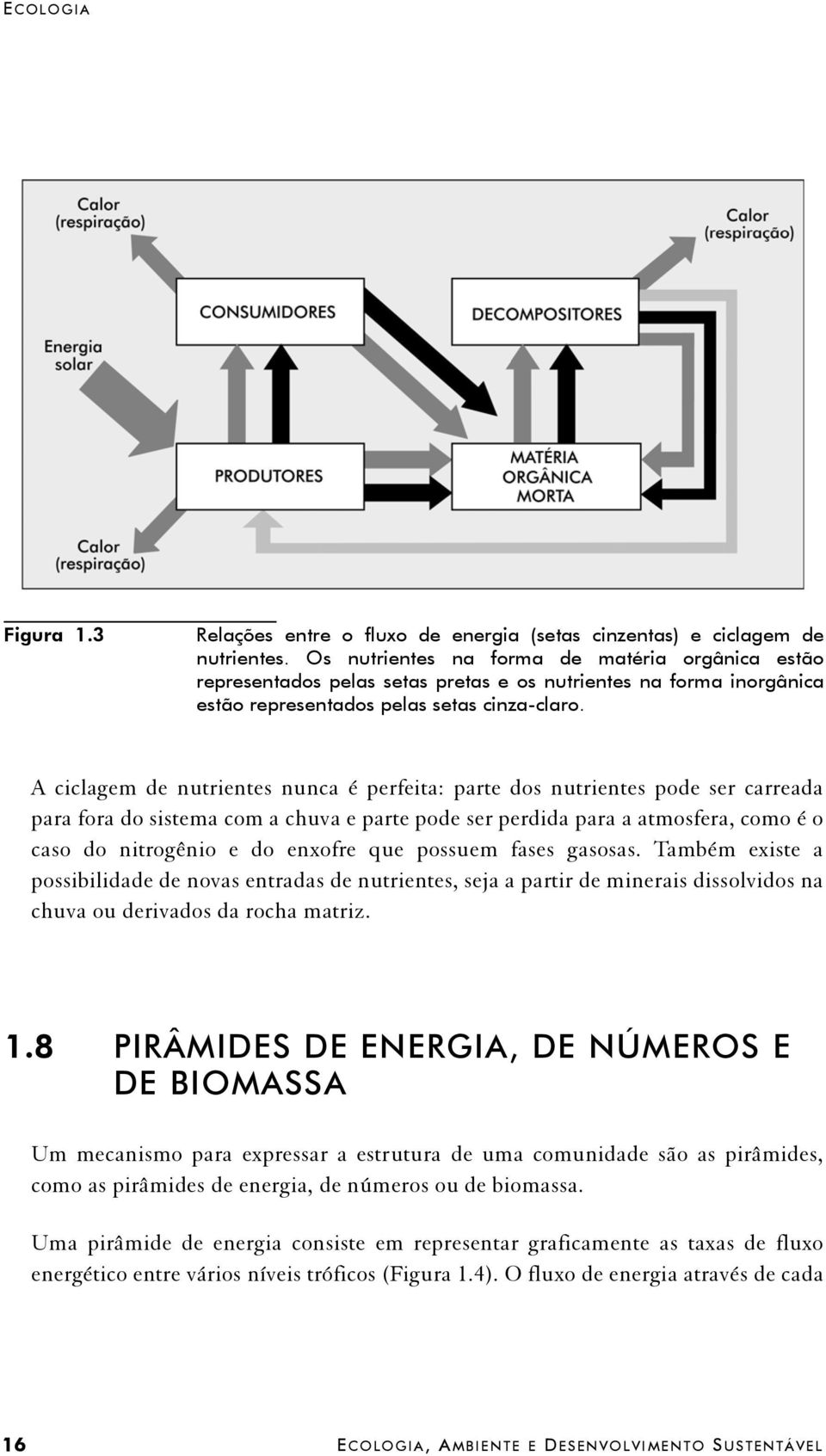 A ciclagem de nutrientes nunca é perfeita: parte dos nutrientes pode ser carreada para fora do sistema com a chuva e parte pode ser perdida para a atmosfera, como é o caso do nitrogênio e do enxofre