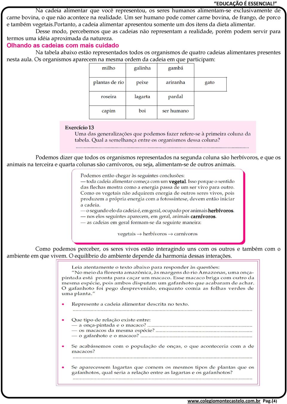 Desse modo, percebemos que as cadeias não representam a realidade, porém podem servir para termos uma idéia aproximada da natureza.