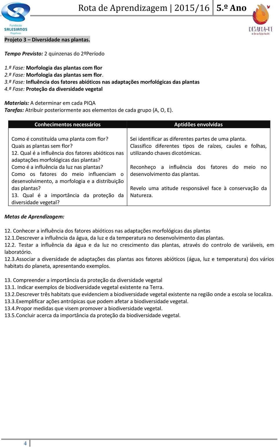 Como é a influência da luz nas plantas? Como os fatores do meio influenciam o desenvolvimento, a morfologia e a distribuição das plantas? 13. Qual é a importância da proteção da diversidade vegetal?