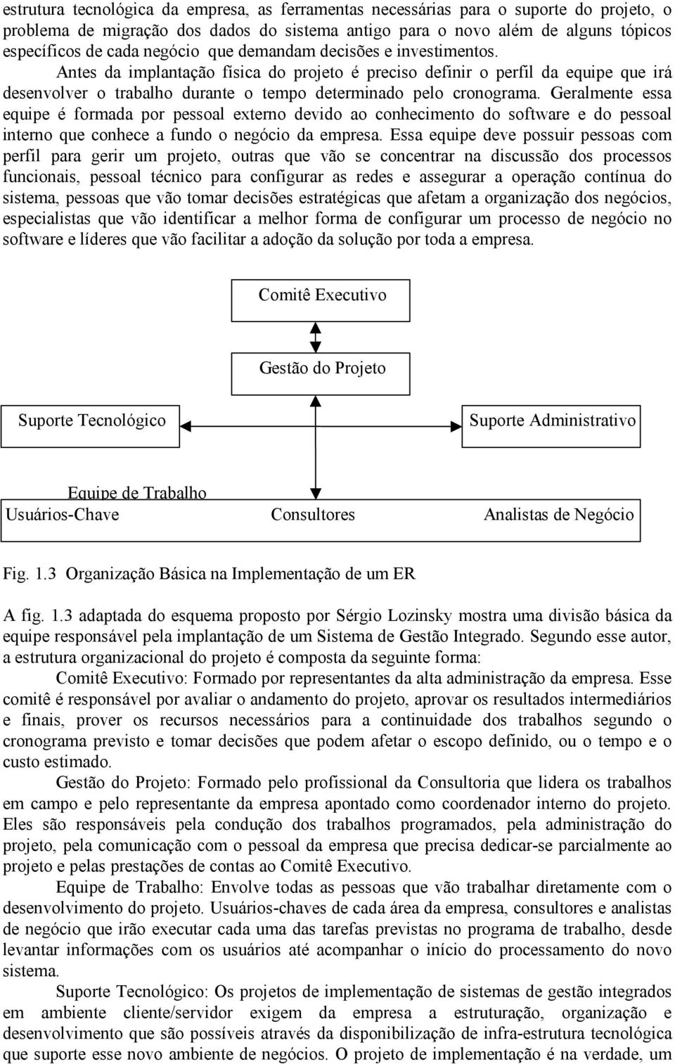 Geralmente essa equipe é formada por pessoal externo devido ao conhecimento do software e do pessoal interno que conhece a fundo o negócio da empresa.