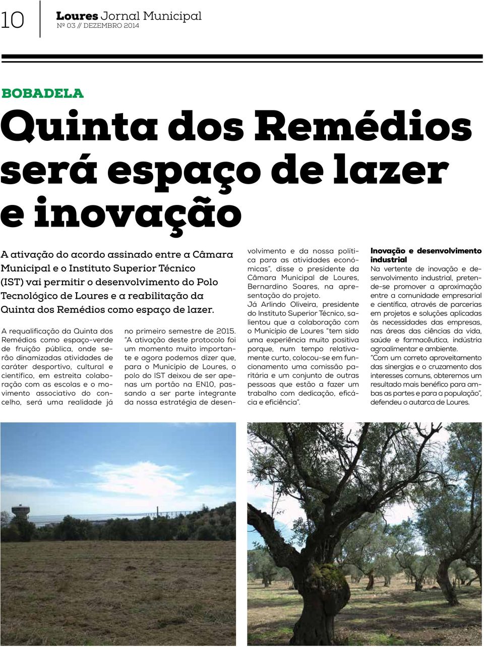 A requalificação da Quinta dos Remédios como espaço-verde de fruição pública, onde serão dinamizadas atividades de caráter desportivo, cultural e científico, em estreita colaboração com as escolas e