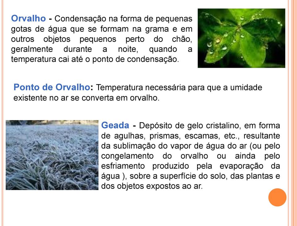 Ponto de Orvalho: Temperatura necessária para que a umidade existente no ar se converta em orvalho.