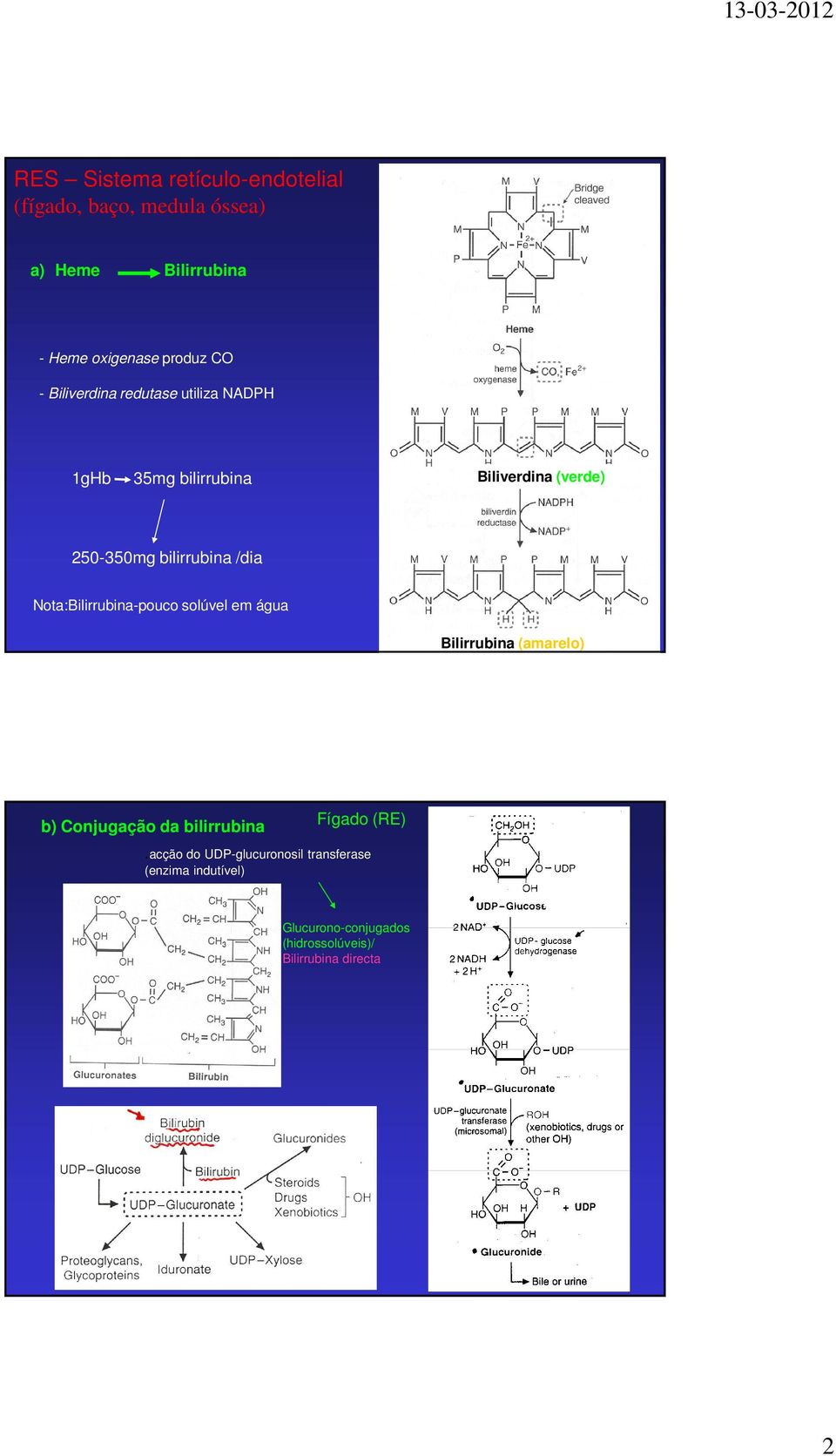 Nota:Bilirrubina-pouco solúvel em água Bilirrubina (amarelo) b) Conjugação da bilirrubina Fígado (RE).