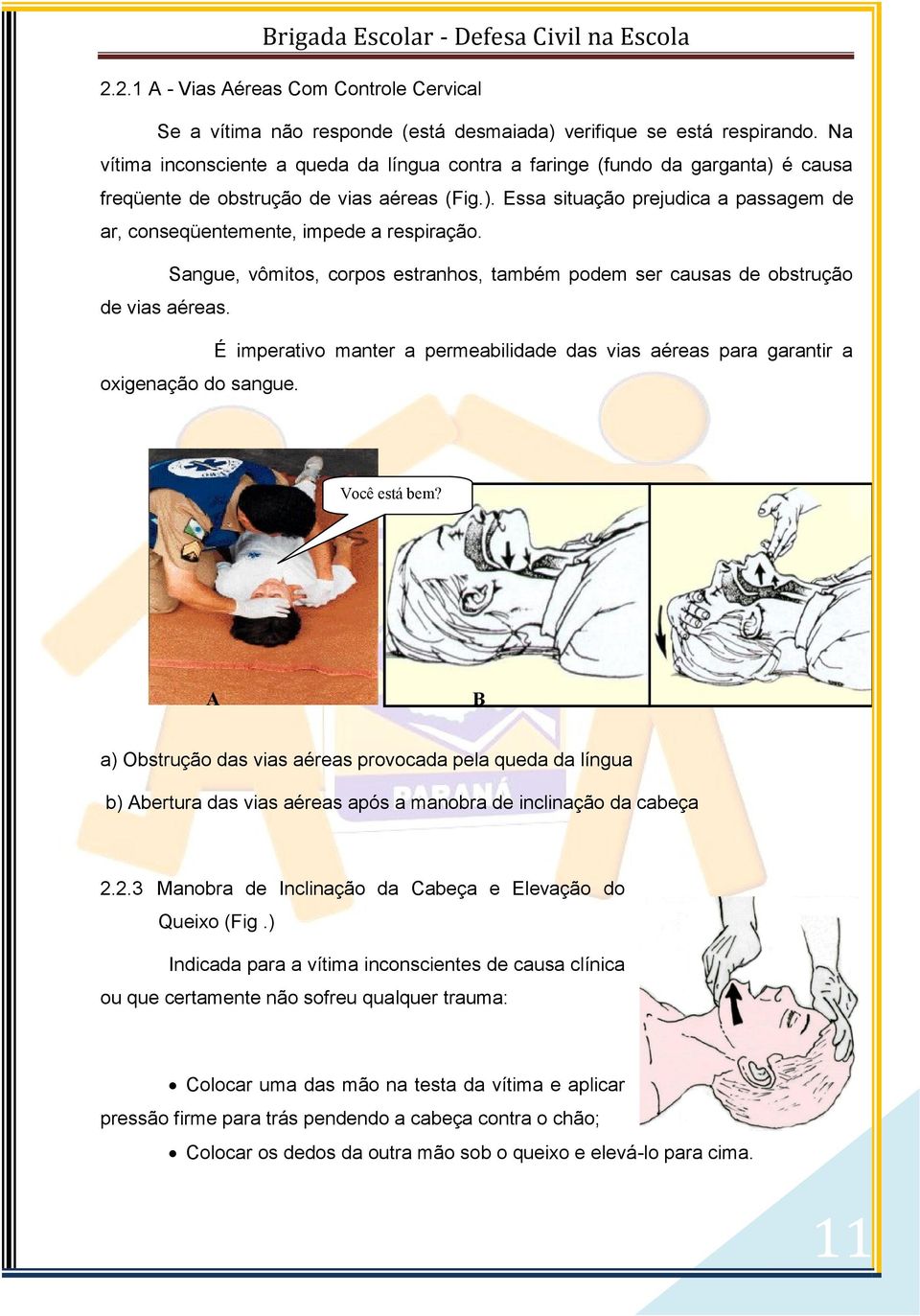 Sangue, vômitos, corpos estranhos, também podem ser causas de obstrução de vias aéreas. É imperativo manter a permeabilidade das vias aéreas para garantir a oxigenação do sangue. Você está bem?