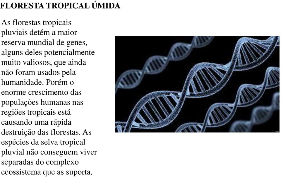 Porém o enorme crescimento das populações humanas nas regiões tropicais está causando uma rápida