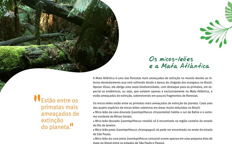 Apesar disso, ela abriga uma vasta biodiversidade, com destaque para os primatas, em especial os endêmicos, ou seja, que existem apenas e exclusivamente na Mata Atlântica, e estão ameaçados de