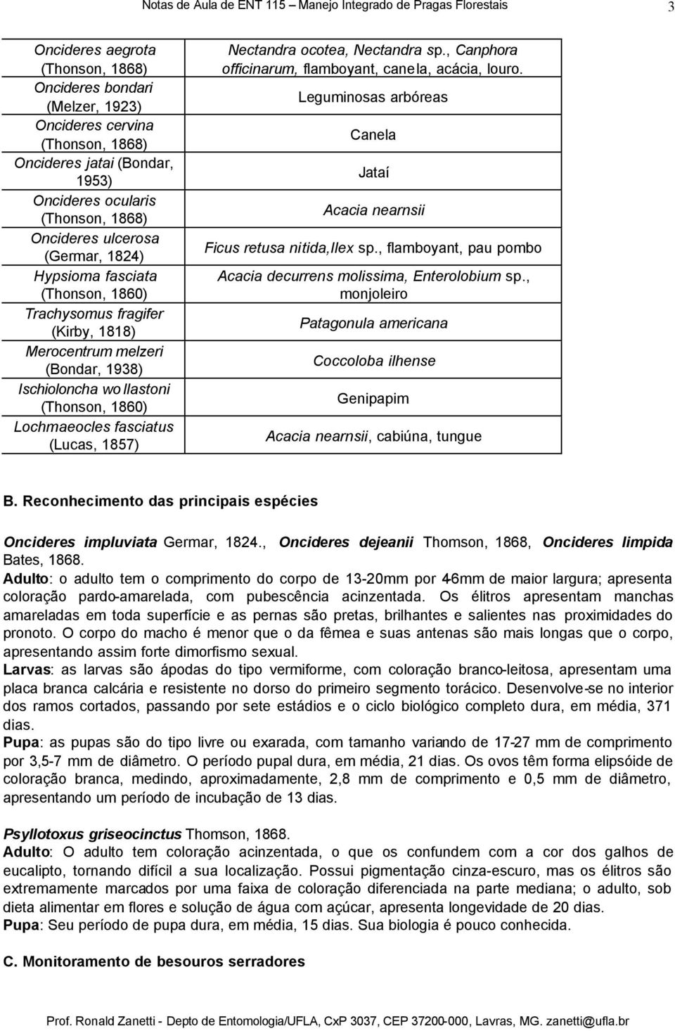 1857) Nectandra ocotea, Nectandra sp., Canphora officinarum, flamboyant, canela, acácia, louro. Leguminosas arbóreas Canela Jataí Acacia nearnsii Ficus retusa nitida,ilex sp.