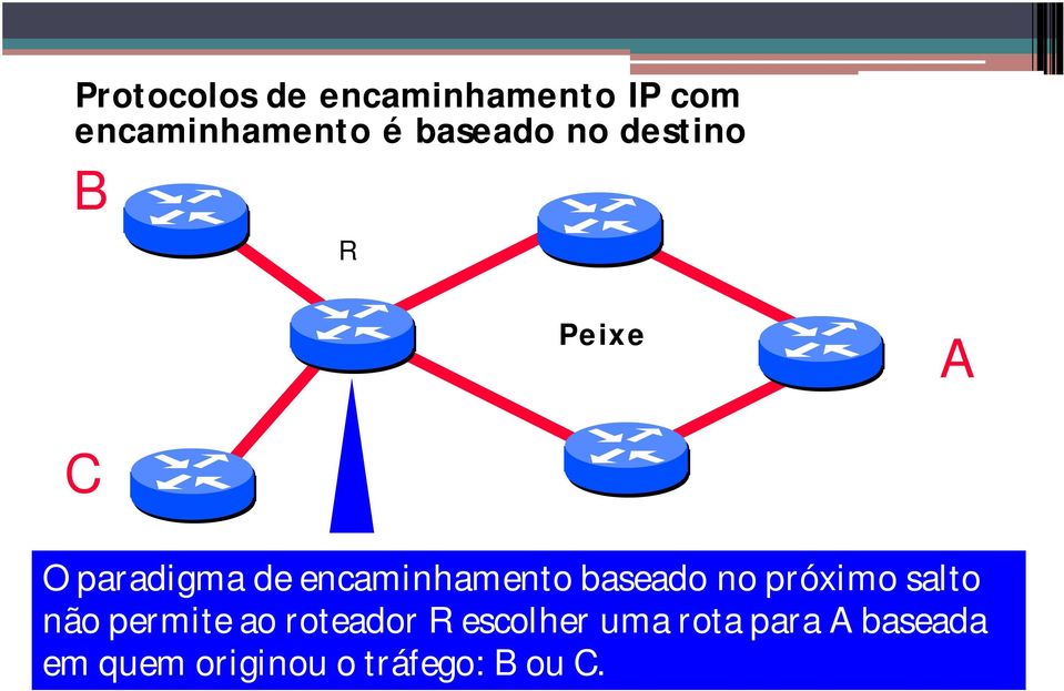 encaminhamento baseado no próximo salto não permite ao