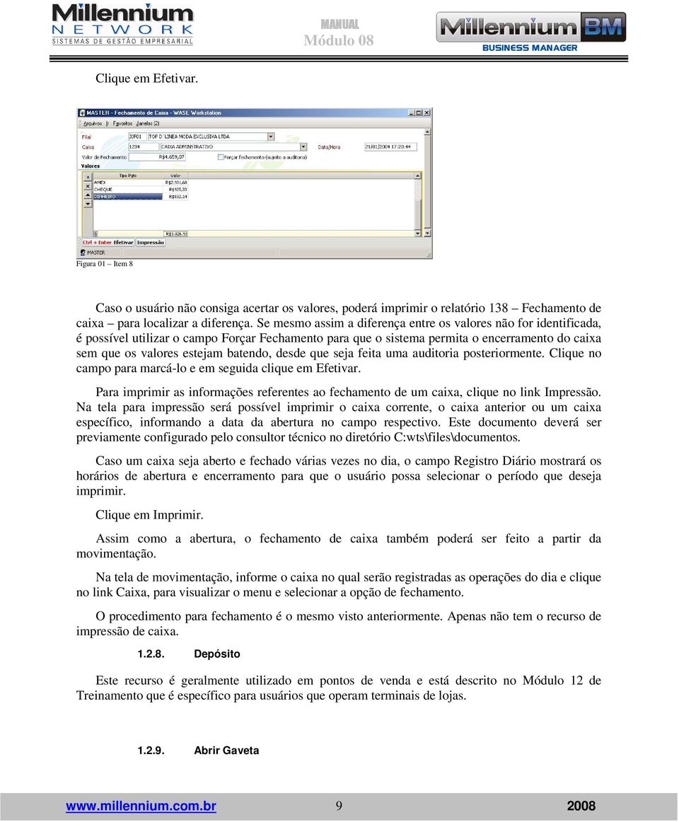 desde que seja feita uma auditoria posteriormente. Clique no campo para marcá-lo e em seguida clique em Efetivar.