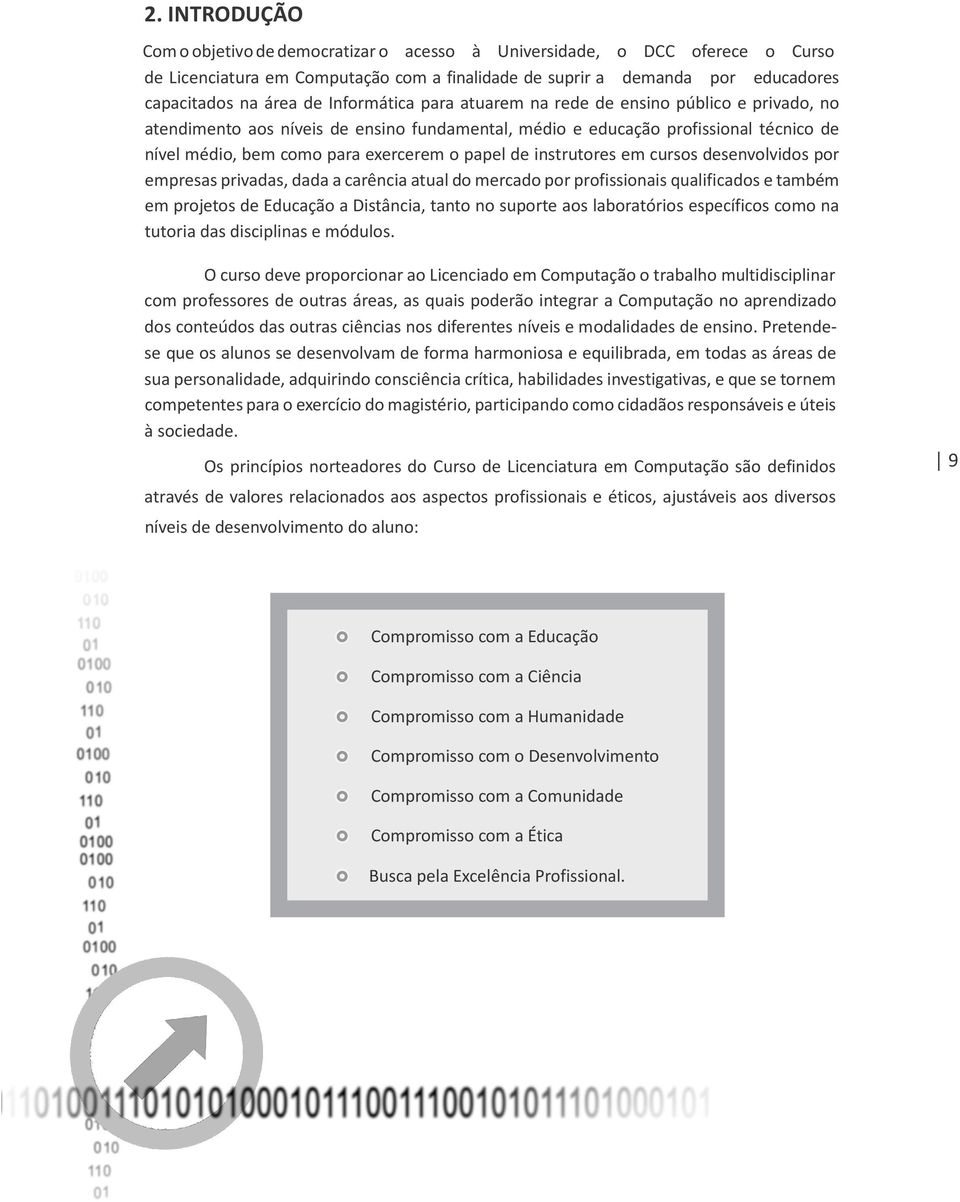 instrutores em cursos desenvolvidos por empresas privadas, dada a carência atual do mercado por profissionais qualificados e também em projetos de Educação a Distância, tanto no suporte aos