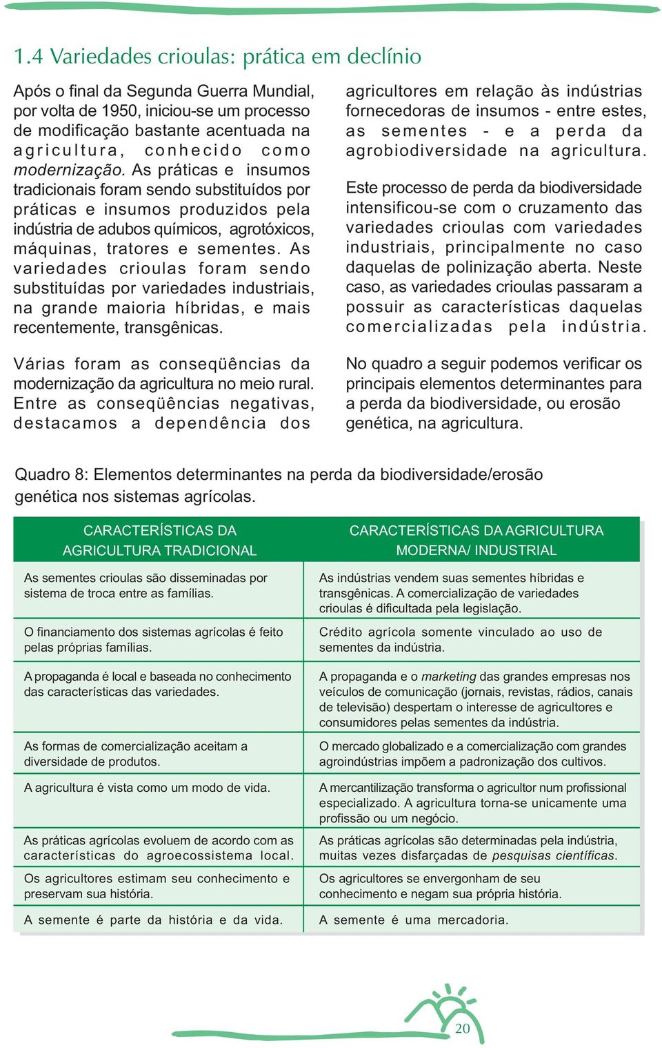 As variedades crioulas foram sendo substituídas por variedades industriais, na grande maioria híbridas, e mais recentemente, transgênicas.