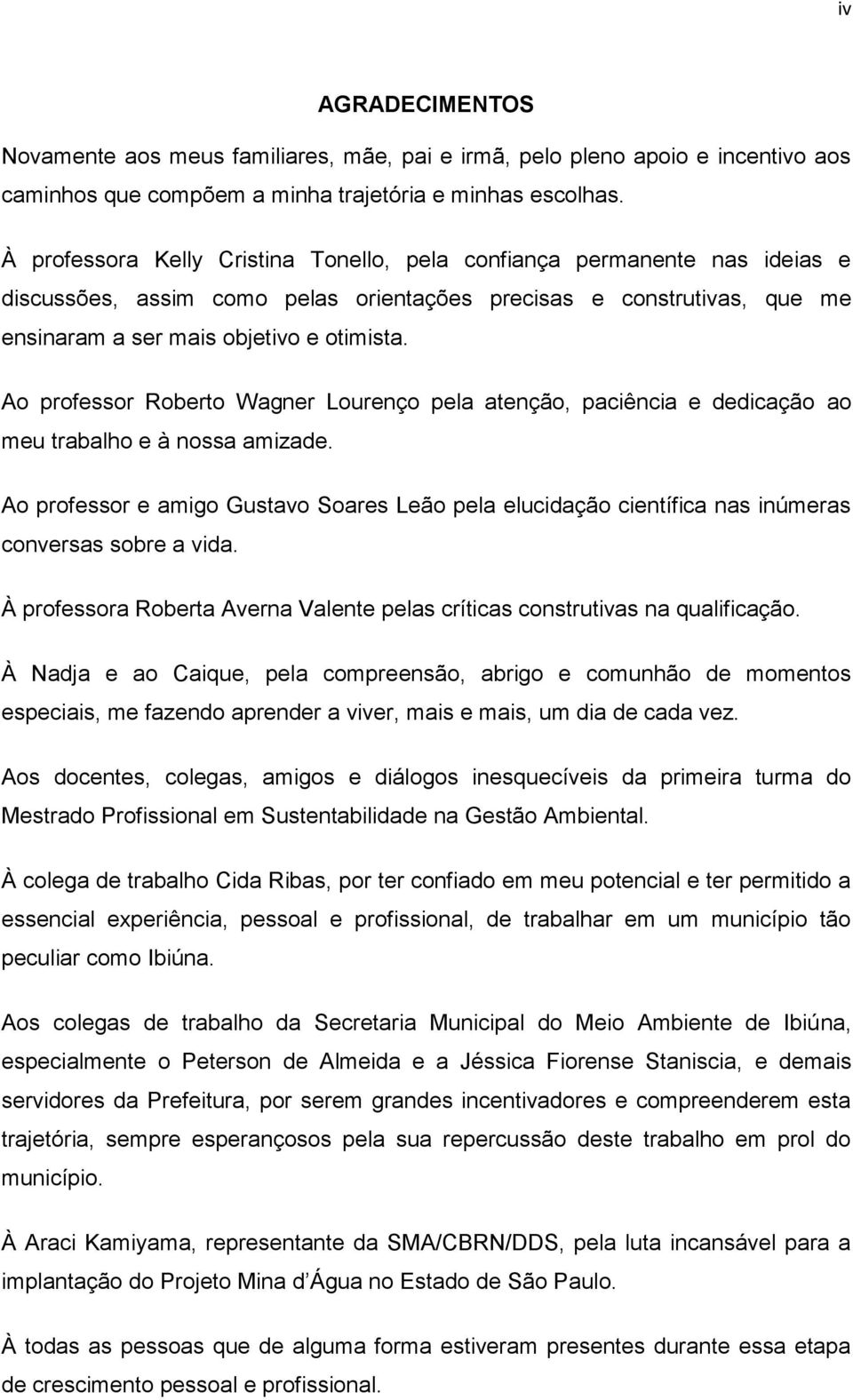 Ao professor Roberto Wagner Lourenço pela atenção, paciência e dedicação ao meu trabalho e à nossa amizade.