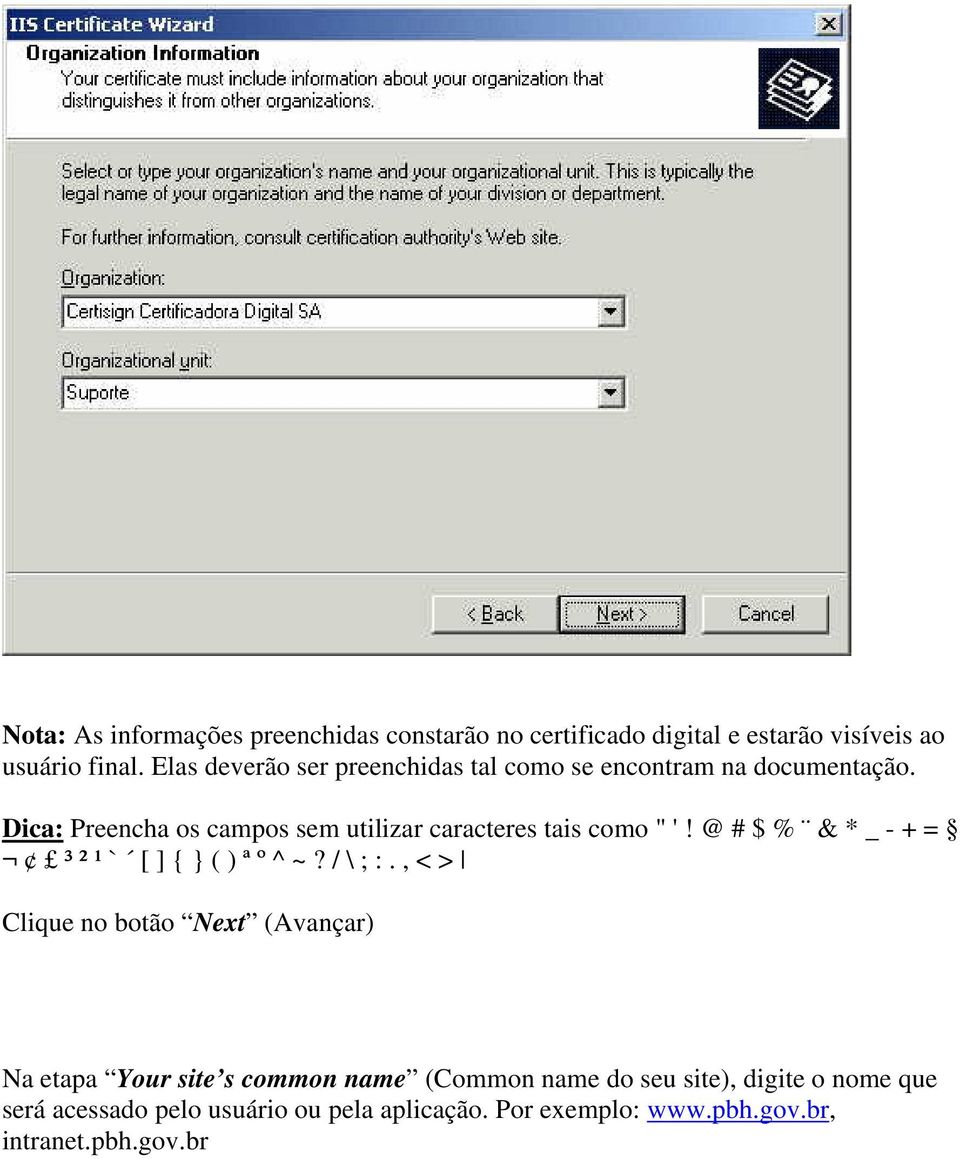 Dica: Preencha os campos sem utilizar caracteres tais como " '! @ # $ % & * _ - + = ³ ² ¹ ` [ ] { } ( ) ª º ^ ~? / \ ; :.