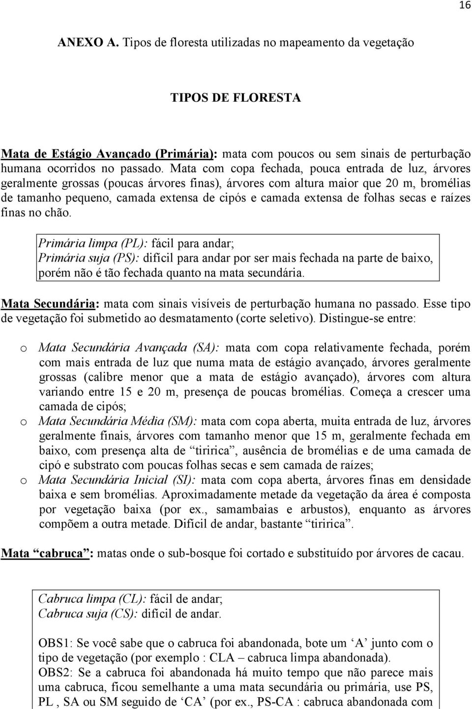 extensa de folhas secas e raízes finas no chão.