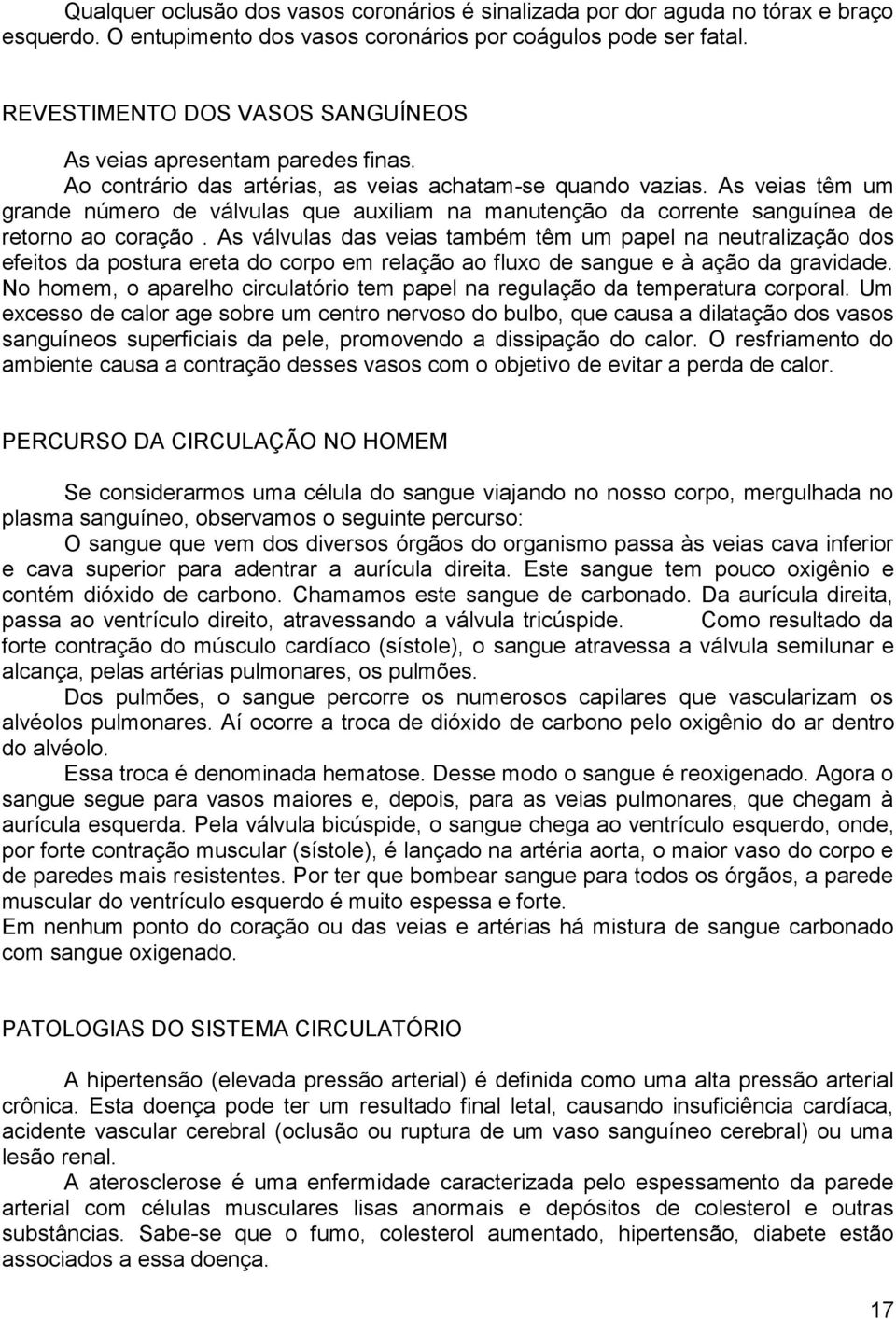 As veias têm um grande número de válvulas que auxiliam na manutenção da corrente sanguínea de retorno ao coração.