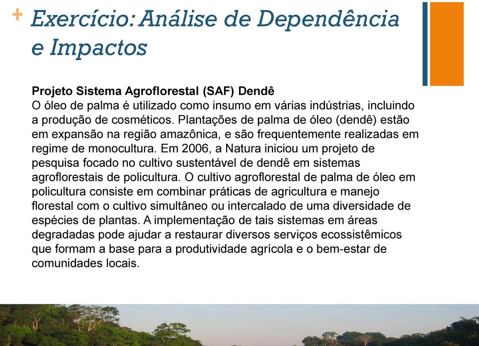 Em 2006, a Natura iniciou um projeto de pesquisa focado no cultivo sustentável de dendê em sistemas agroflorestais de policultura.