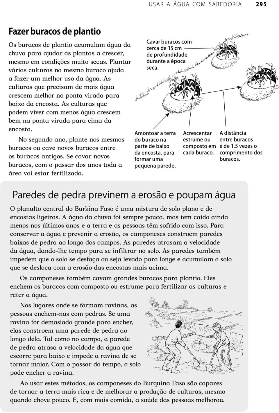 No segundo ano, plante nos mesmos buracos ou cave novos buracos entre os buracos antigos. Se cavar novos buracos, com o passar dos anos toda a área vai estar fertilizada.