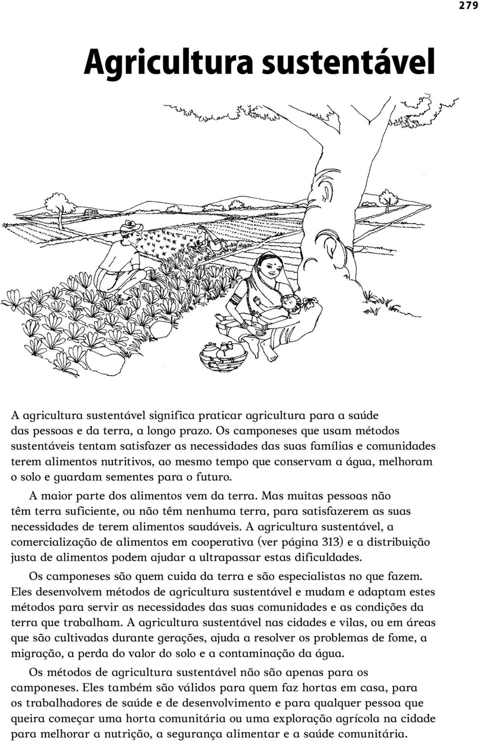 guardam sementes para o futuro. A maior parte dos alimentos vem da terra.