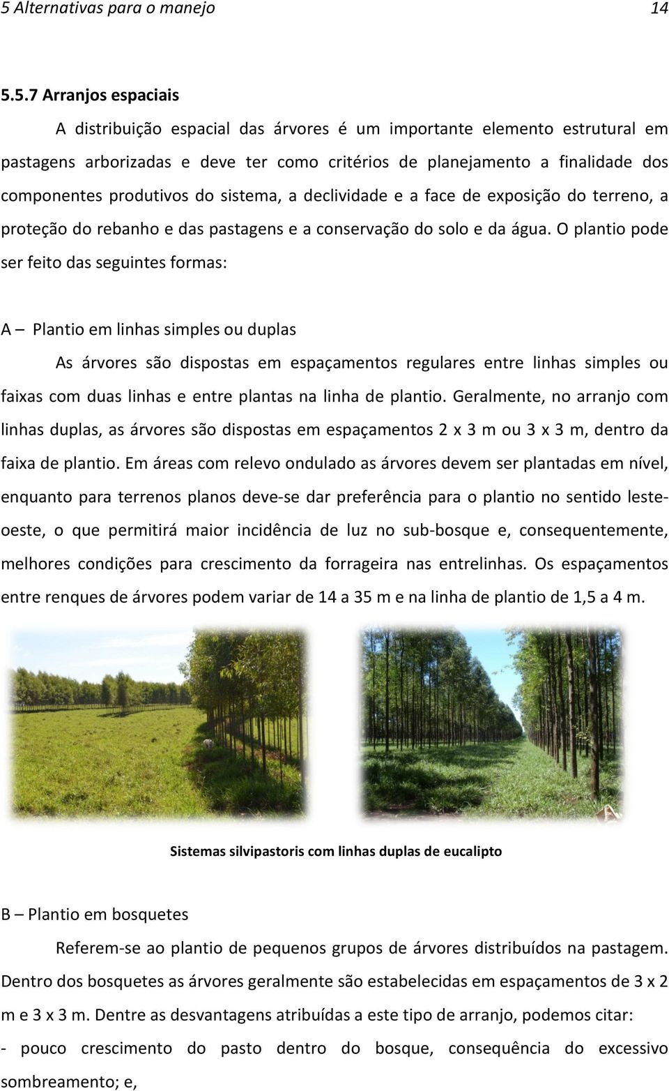 O plantio pode ser feito das seguintes formas: A Plantio em linhas simples ou duplas As árvores são dispostas em espaçamentos regulares entre linhas simples ou faixas com duas linhas e entre plantas