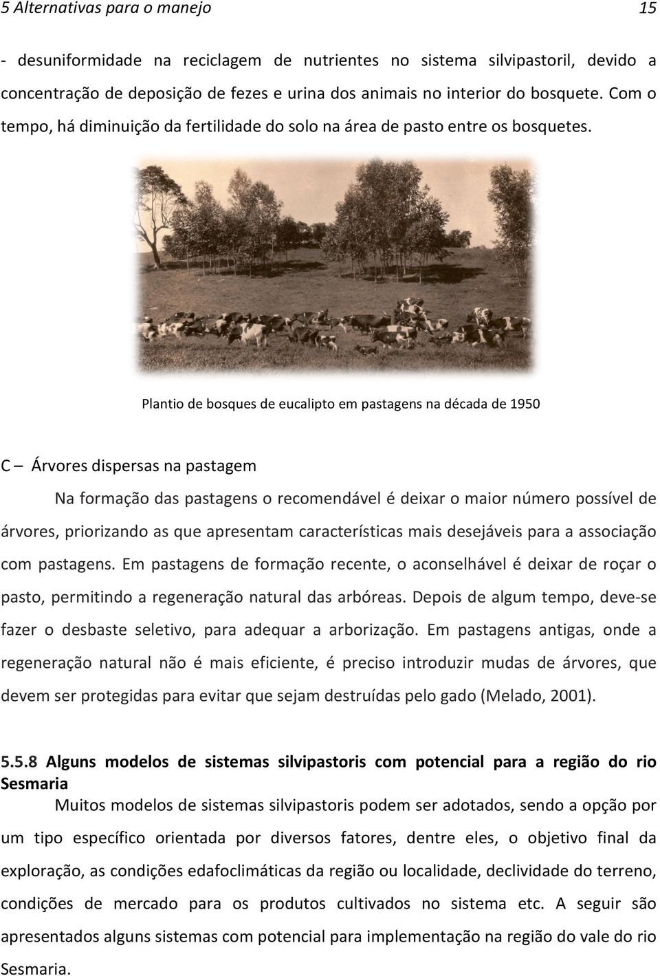 Plantio de bosques de eucalipto em pastagens na década de 1950 C Árvores dispersas na pastagem Na formação das pastagens o recomendável é deixar o maior número possível de árvores, priorizando as que