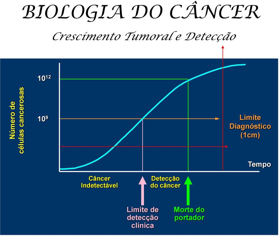 Diagnóstico (1cm) Tempo Câncer Indetectável