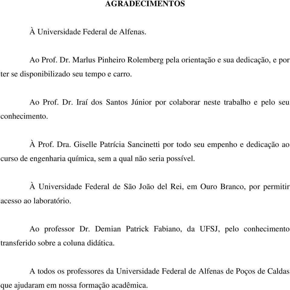 Giselle Patrícia Sancinetti por todo seu empenho e dedicação ao curso de engenharia química, sem a qual não seria possível.