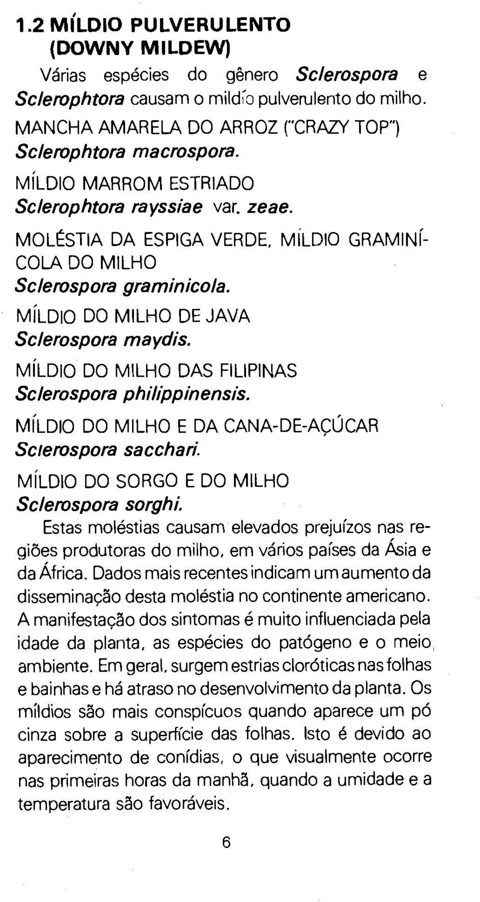 Mf LDIO DO MILHO DAS FILIPINAS Sclerospora philippinensis. MfLDIO DO MILHO E DA CANA-DE-A<;::UCAR Sc1erospora sacchari. Mf LDIO DO SORGO E DO MILHO Sclerospora sorghi.