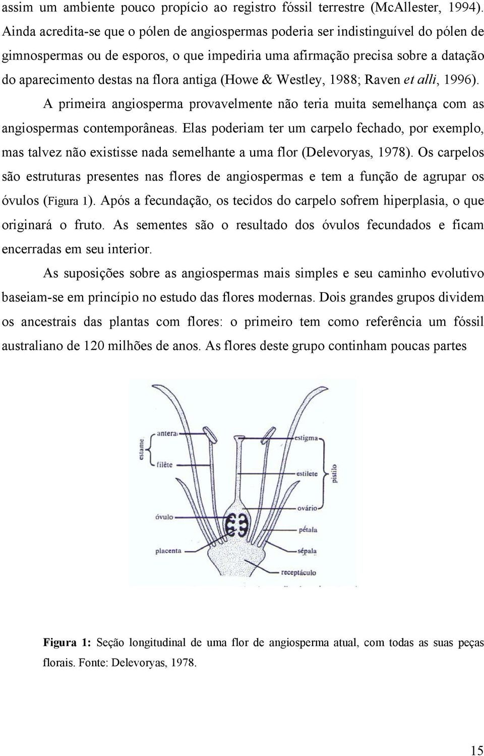 antiga (Howe & Westley, 1988; Raven et alli, 1996). A primeira angiosperma provavelmente não teria muita semelhança com as angiospermas contemporâneas.