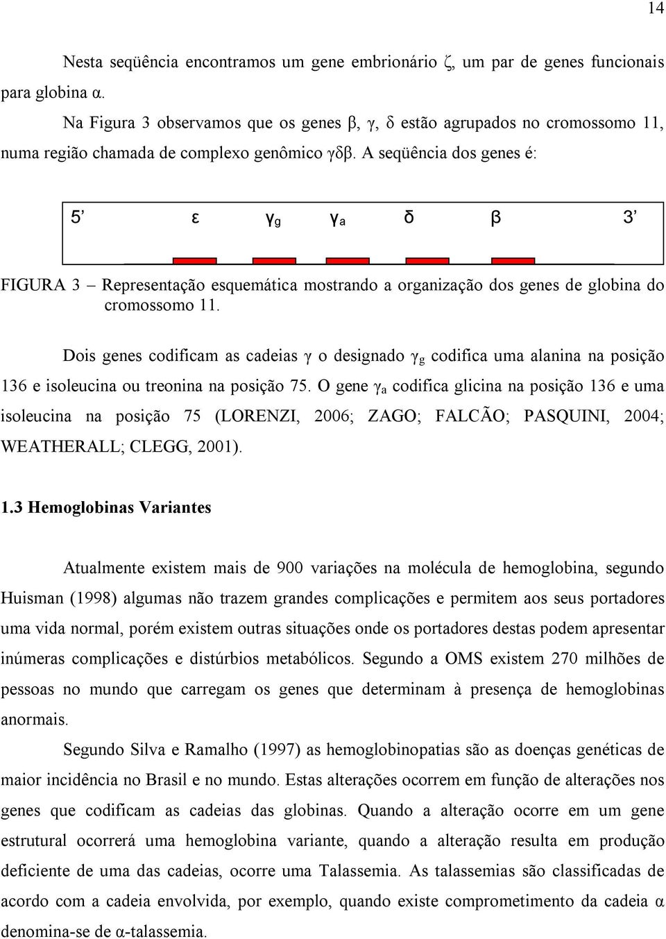 A seqüência dos genes é: 5 ε γ g γ a δ β 3 FIGURA 3 Representação esquemática mostrando a organização dos genes de globina do cromossomo 11.