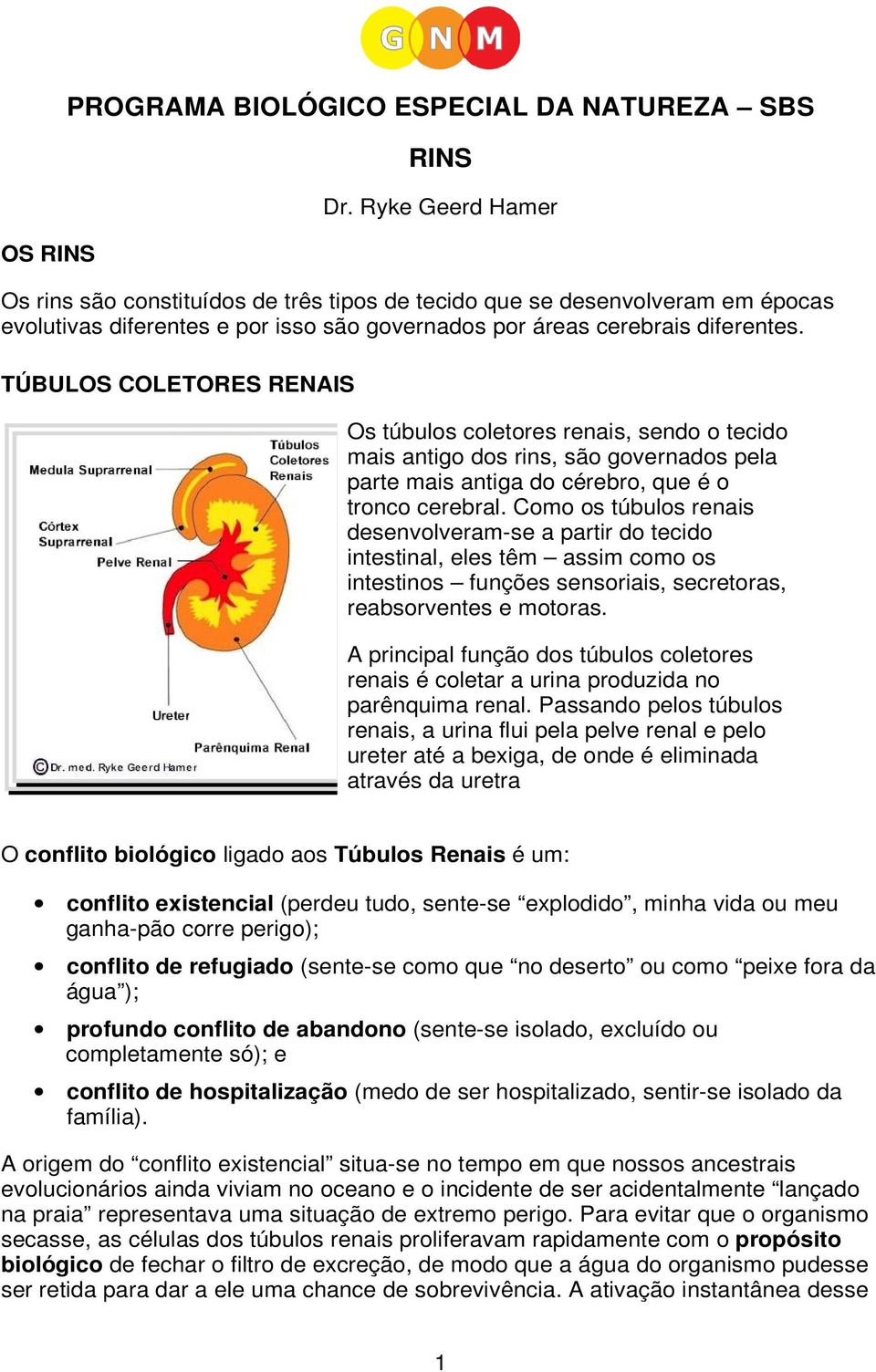 TÚBULOS COLETORES RENAIS Os túbulos coletores renais, sendo o tecido mais antigo dos rins, são governados pela parte mais antiga do cérebro, que é o tronco cerebral.