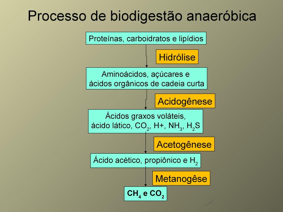 cadeia curta Acidogênese Ácidos graxos voláteis, ácido lático,