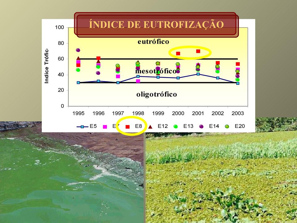 oligotrófico 0 1995 1996 E5 1997 E7