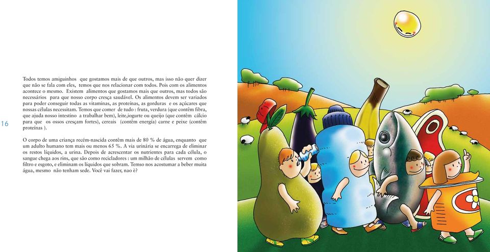 Os alimentos devem ser variados para poder conseguir todas as vitaminas, as proteínas, as gorduras e os açúcares que nossas células necessitam.