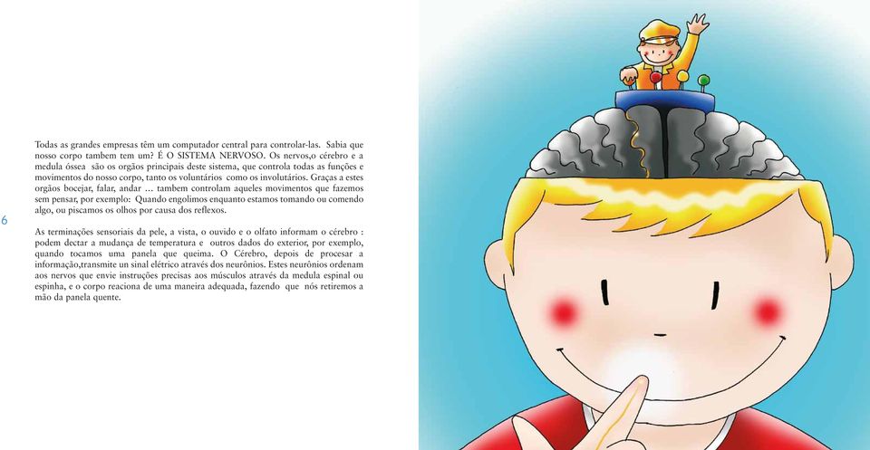 Graças a estes orgãos bocejar, falar, andar tambem controlam aqueles movimentos que fazemos sem pensar, por exemplo: Quando engolimos enquanto estamos tomando ou comendo algo, ou piscamos os olhos