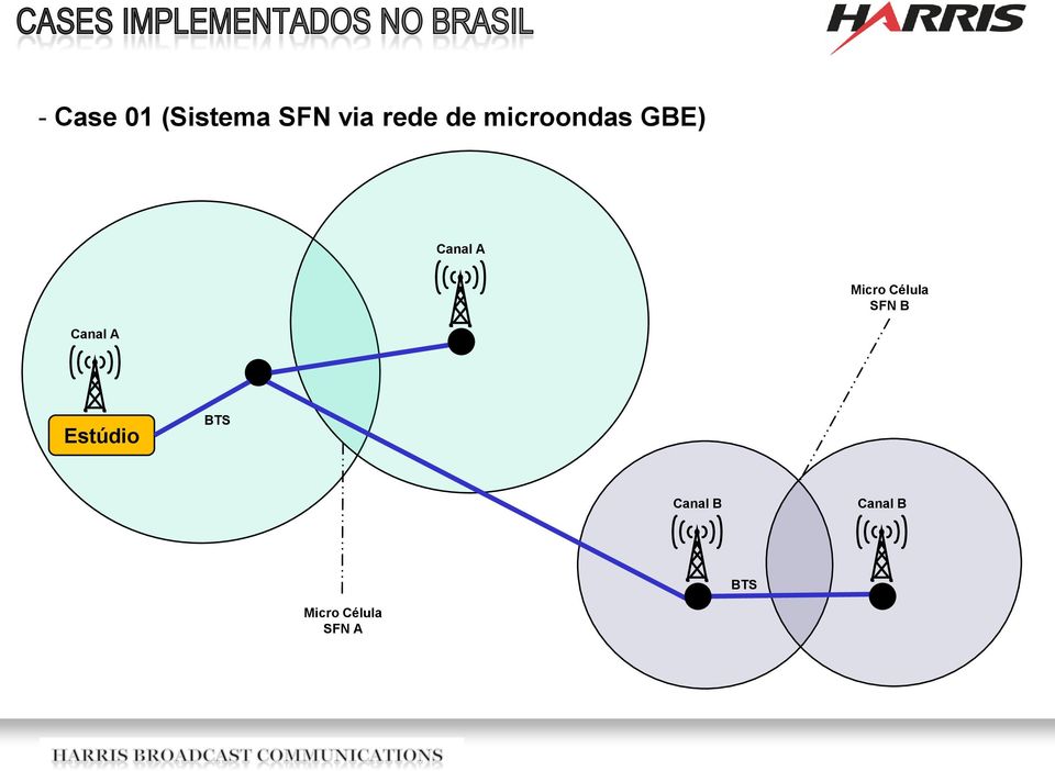 Micro Célula SFN B Estúdio