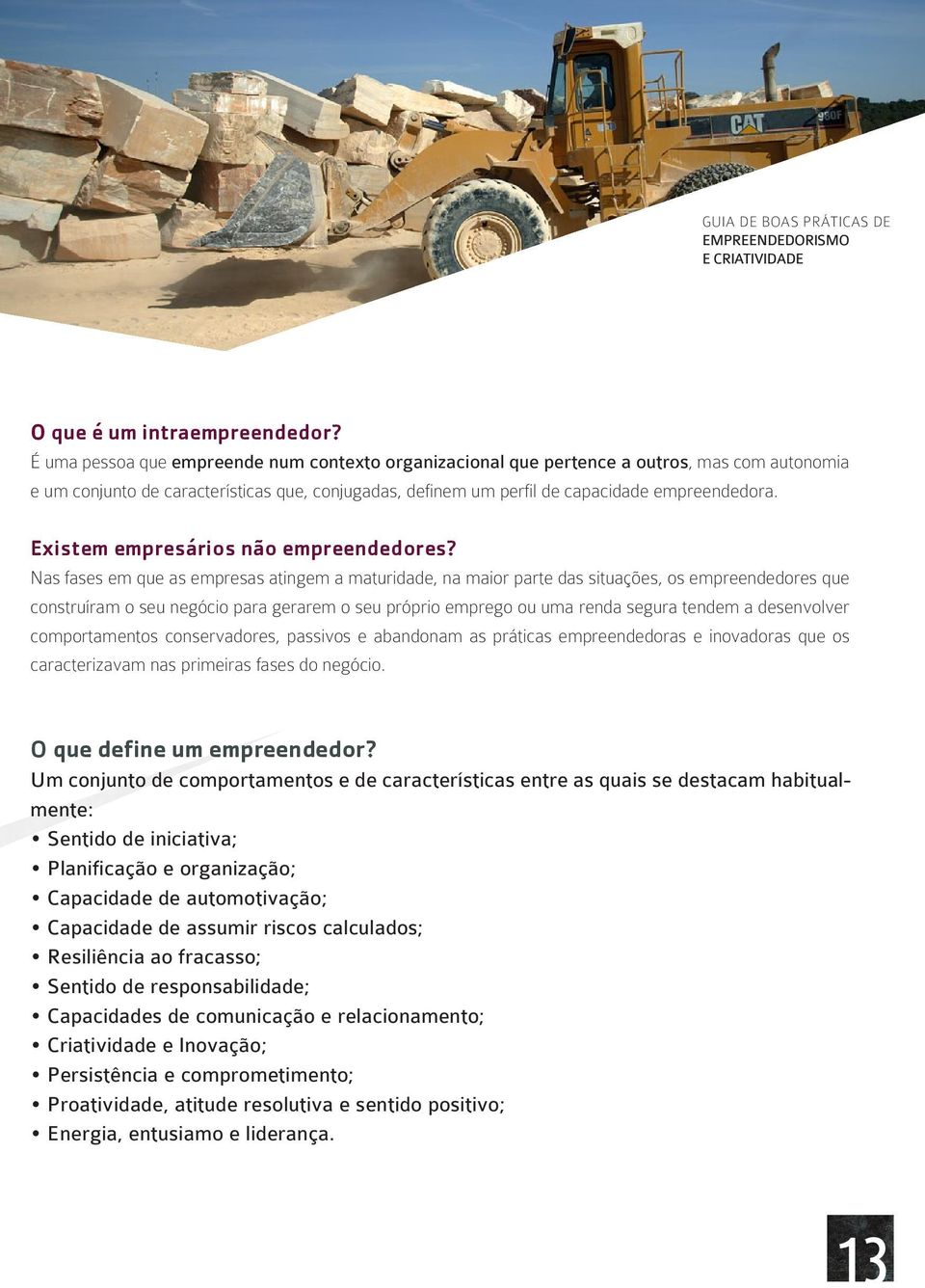 Existem empresários não empreendedores?