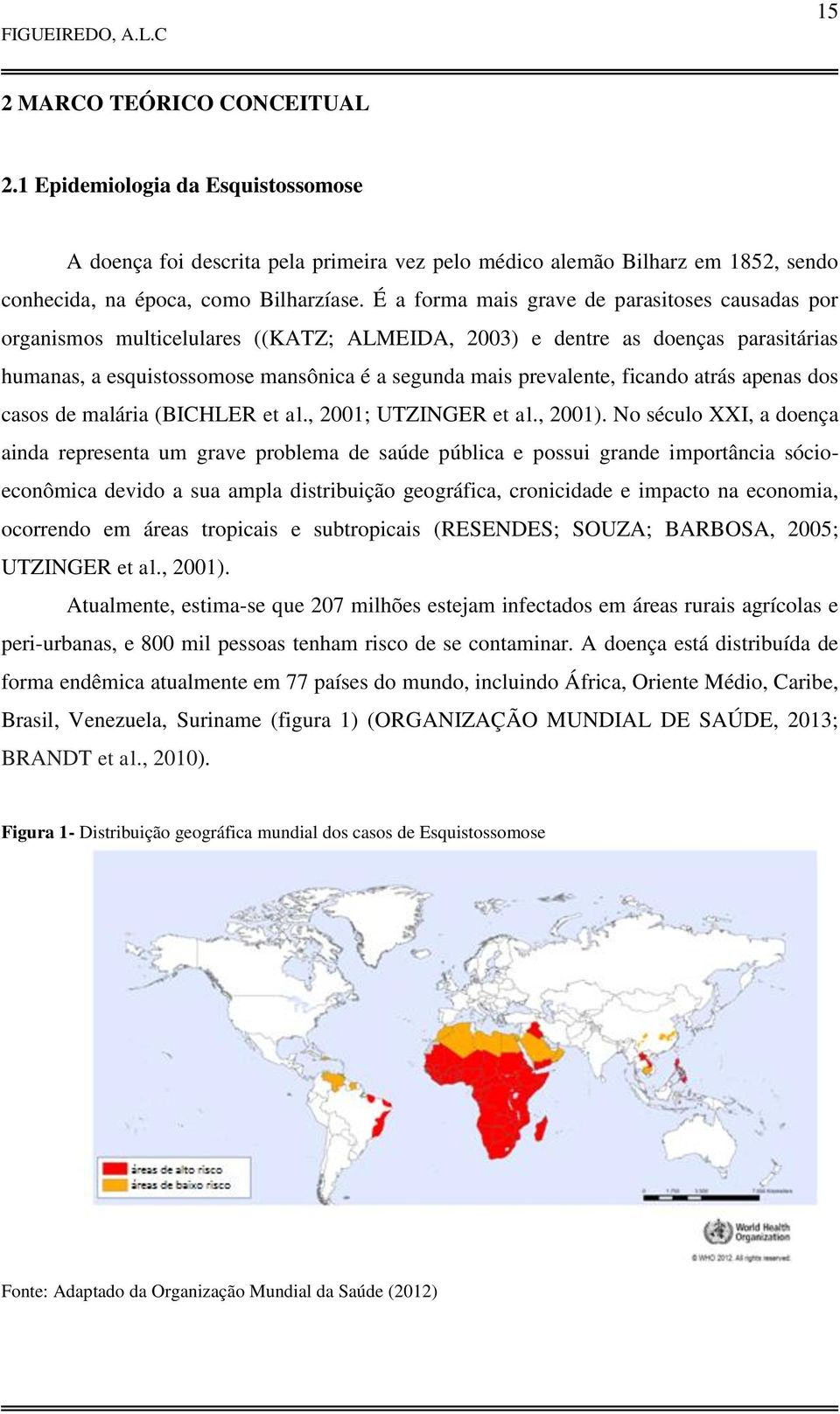 ficando atrás apenas dos casos de malária (BICHLER et al., 2001; UTZINGER et al., 2001).