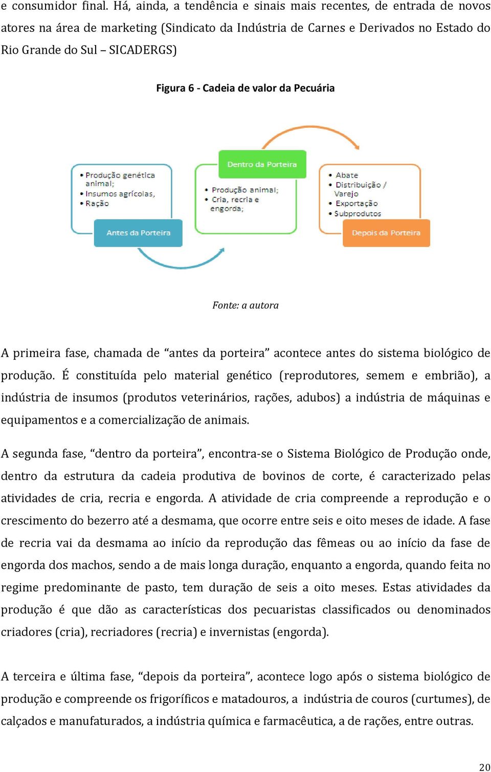 Cadeia de valor da Pecuária Fonte: a autora A primeira fase, chamada de antes da porteira acontece antes do sistema biológico de produção.