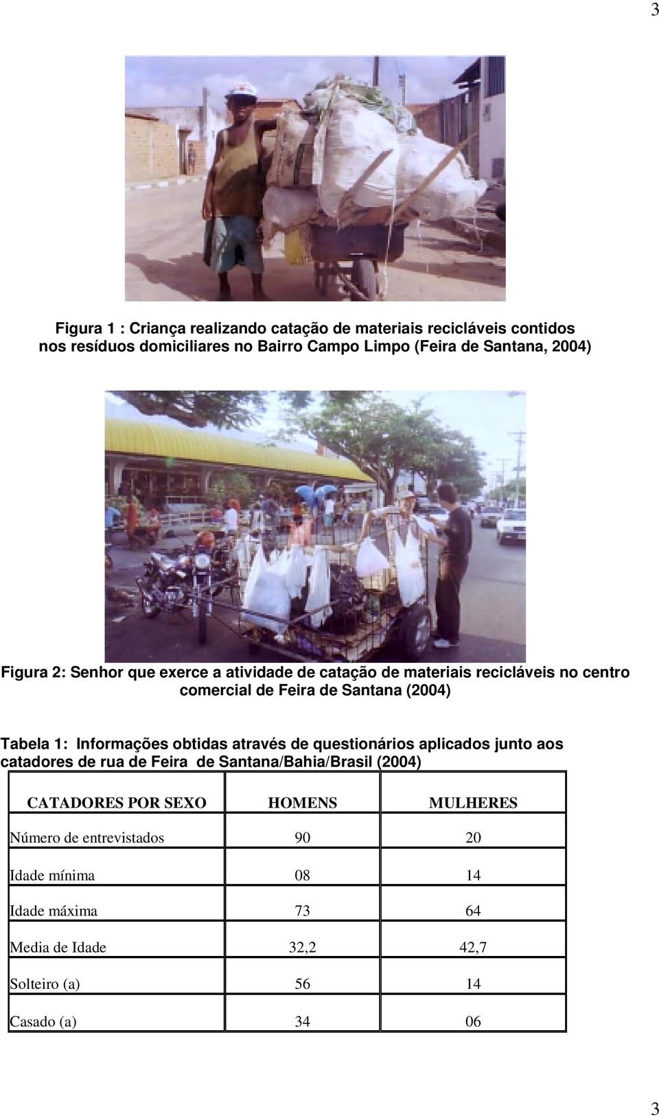 Informações obtidas através de questionários aplicados junto aos catadores de rua de Feira de Santana/Bahia/Brasil (2004) CATADORES POR SEXO