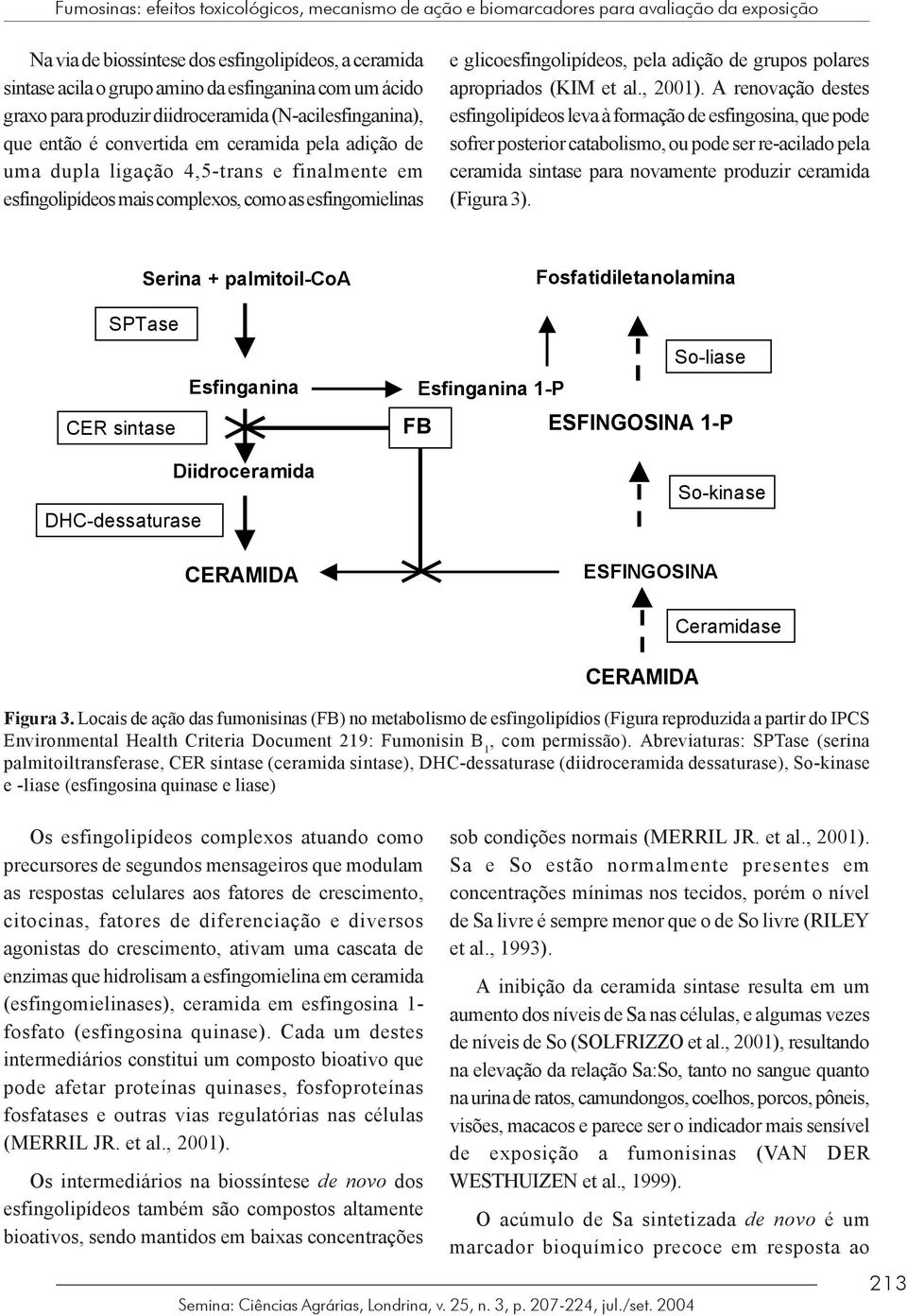 esfingomielinas e glicoesfingolipídeos, pela adição de grupos polares apropriados (KIM et al., 2001).