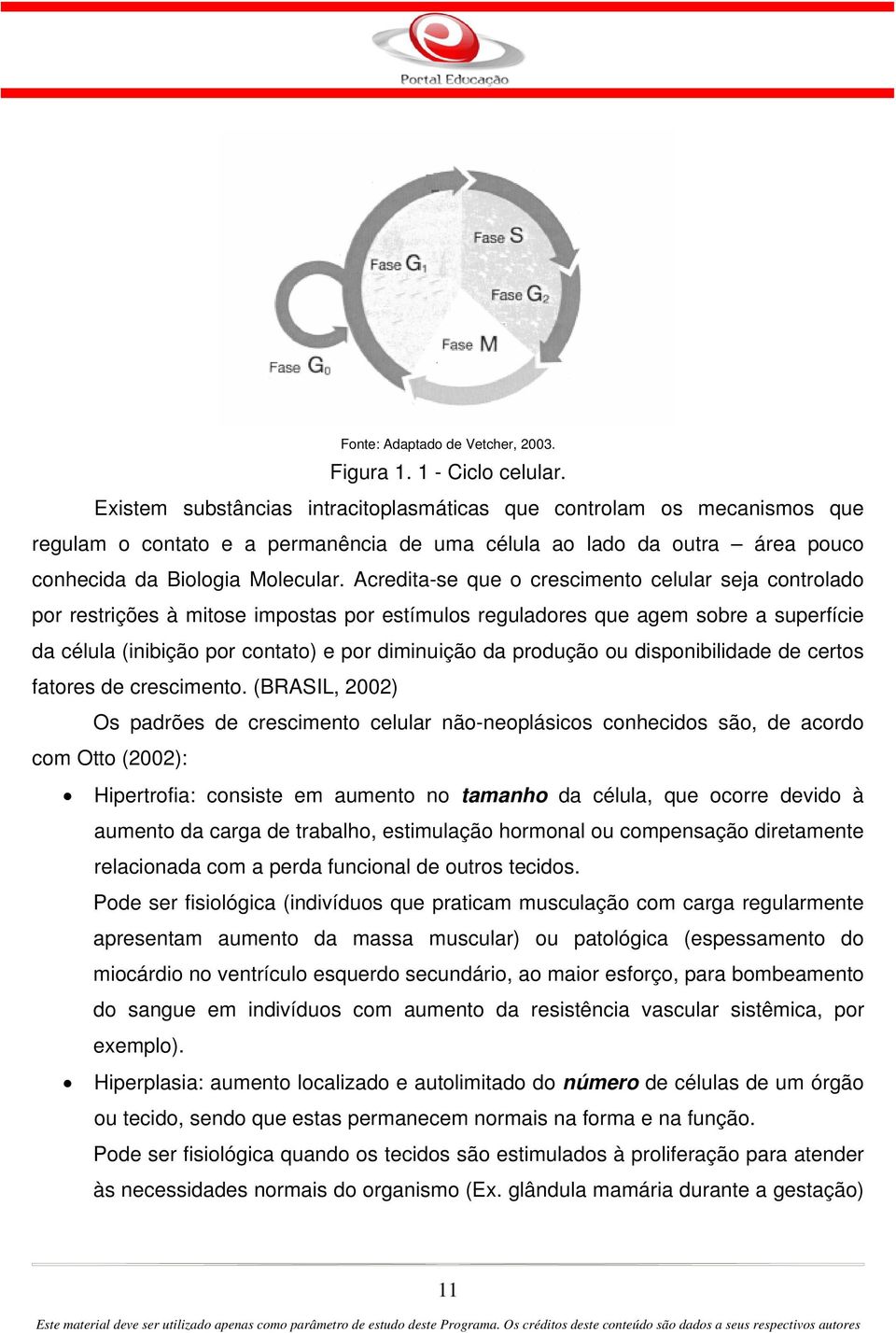 Acredita-se que o crescimento celular seja controlado por restrições à mitose impostas por estímulos reguladores que agem sobre a superfície da célula (inibição por contato) e por diminuição da