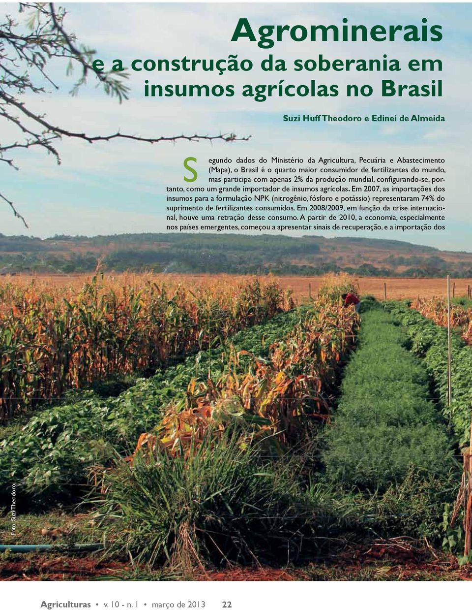 Em 2007, as importações dos insumos para a formulação NPK (nitrogênio, fósforo e potássio) representaram 74% do suprimento de fertilizantes consumidos.